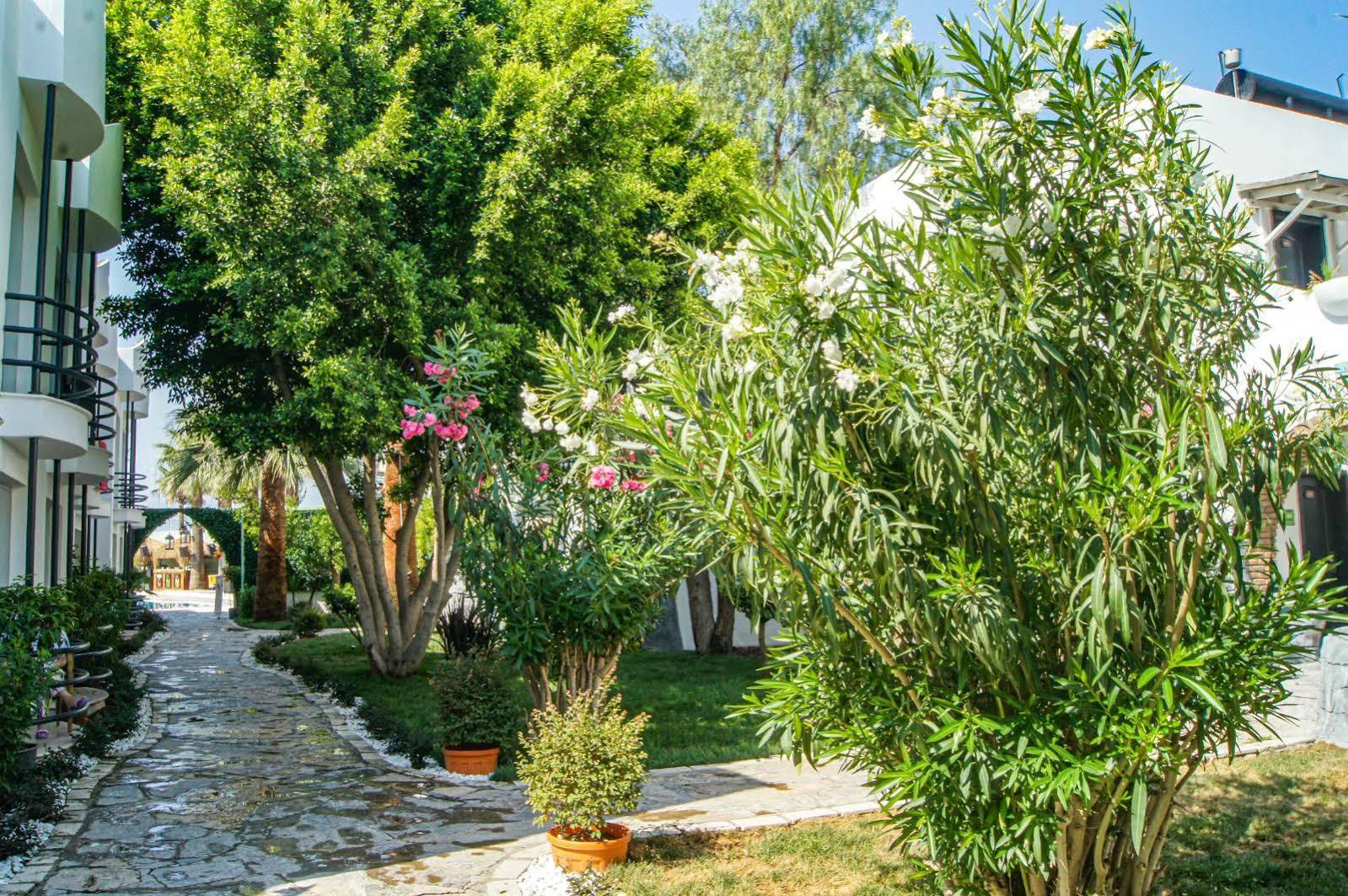 Dream Palace Bodrum Otel Dış mekan fotoğraf